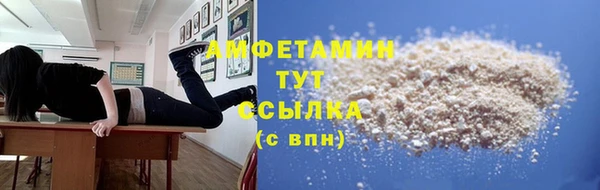 прущие грибы Армянск