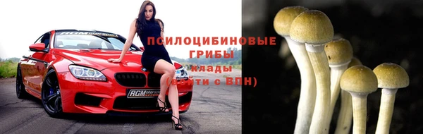 прущие грибы Армянск