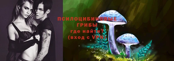 прущие грибы Армянск