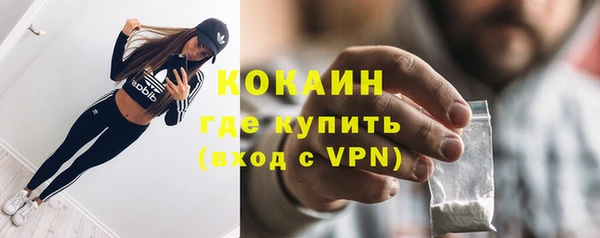 прущие грибы Армянск