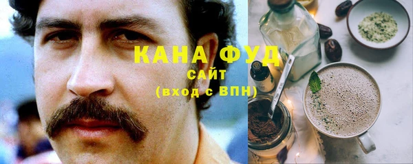 молекула духа Алексеевка