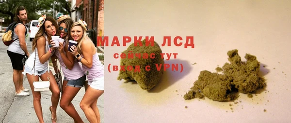 прущие грибы Армянск