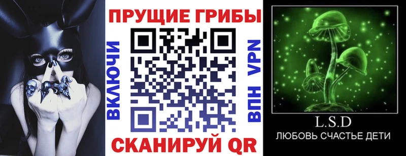 Галлюциногенные грибы GOLDEN TEACHER  Артёмовск 